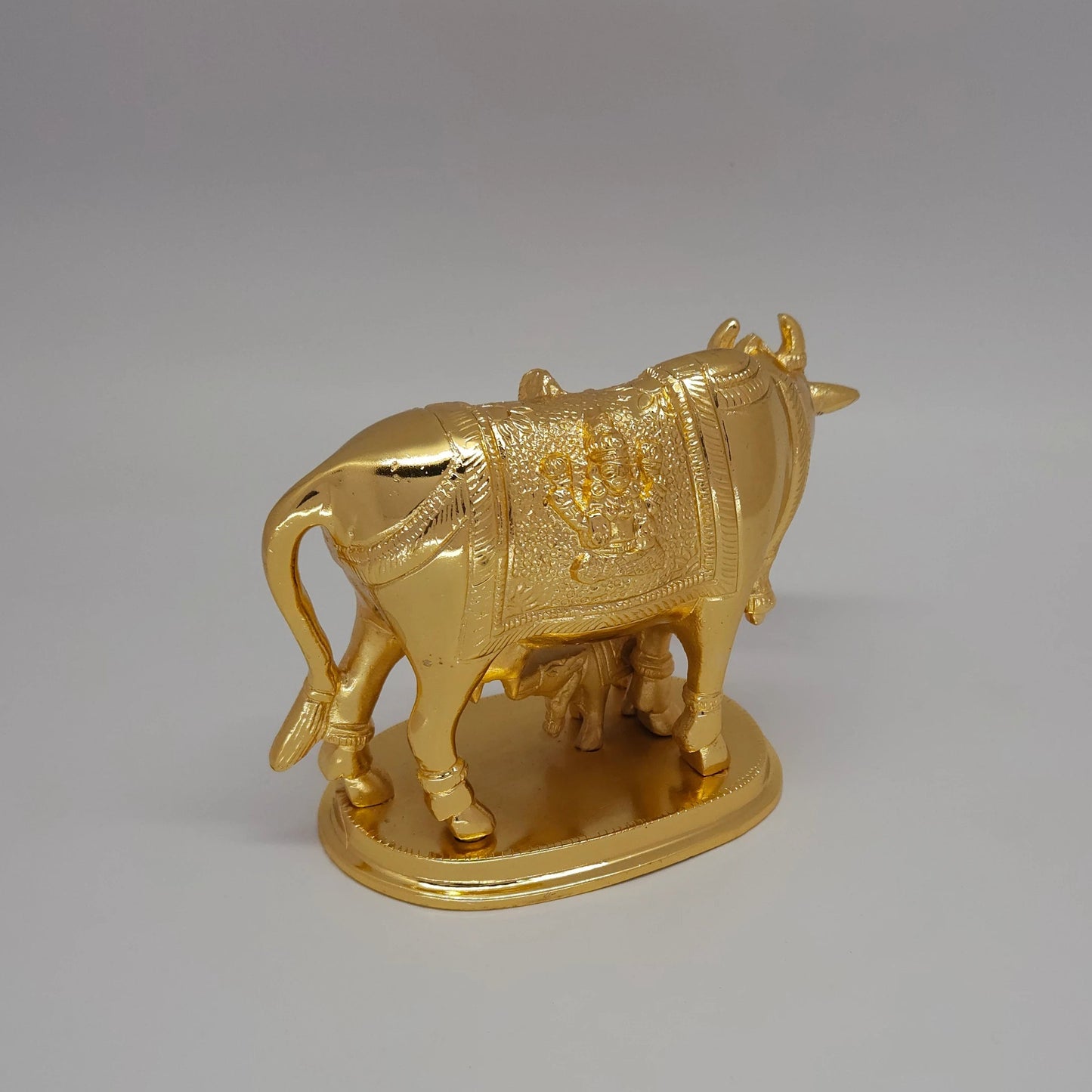 Cow calf 1.5 kg