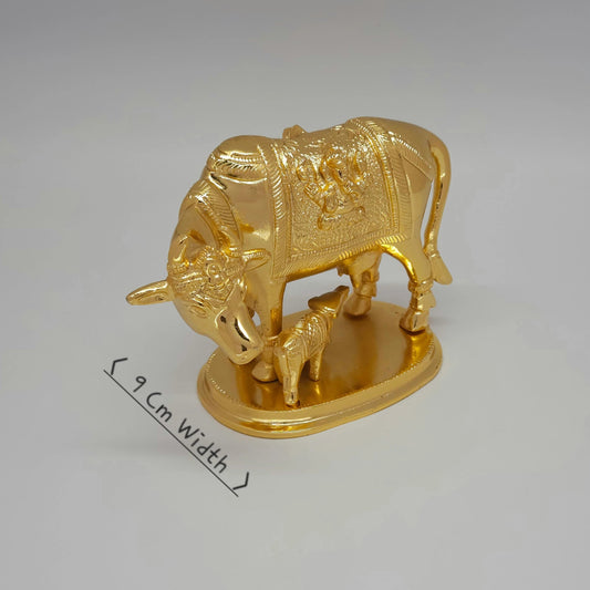 Cow calf 1.5 kg