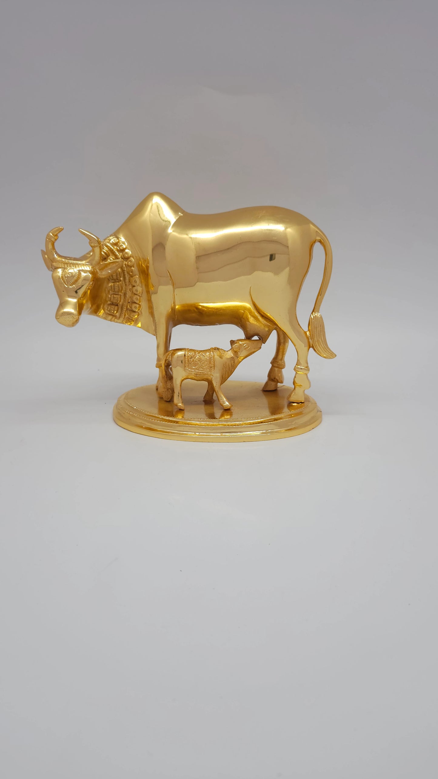 Cow calf plain 2.25 KG