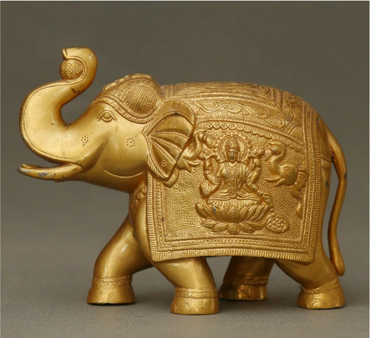 Elephant Ball 4.600 Kg-g