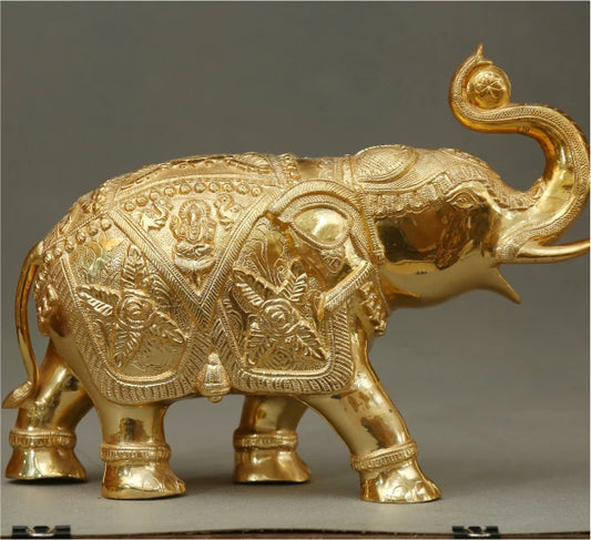 Elephant Ball 11 Kg-g