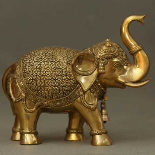 Elephant Ball 15 Kg-g