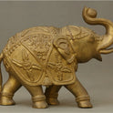 Elephant 11.000 Kg