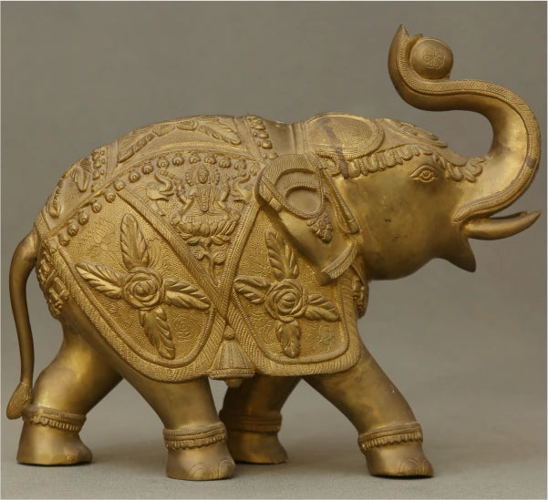 Elephant 11.000 Kg