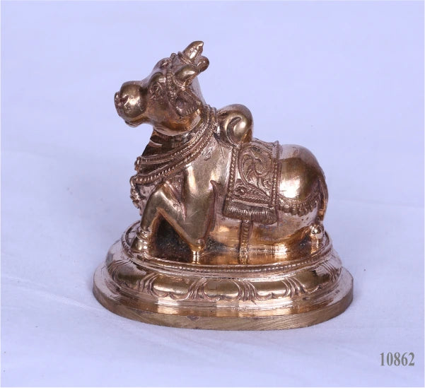 Nandhi 2-5