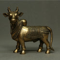 Nandi Standing