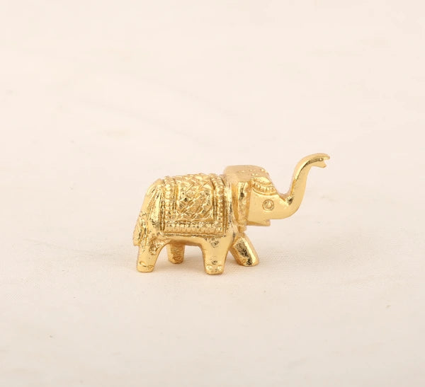 Elephant 0.030 Gm-g