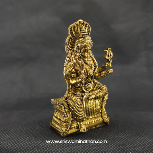Sri Swaminathan & Co Premium Brass Devi Karumariamman Statue