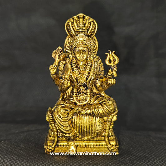 Sri Swaminathan & Co Premium Brass Devi Karumariamman Statue