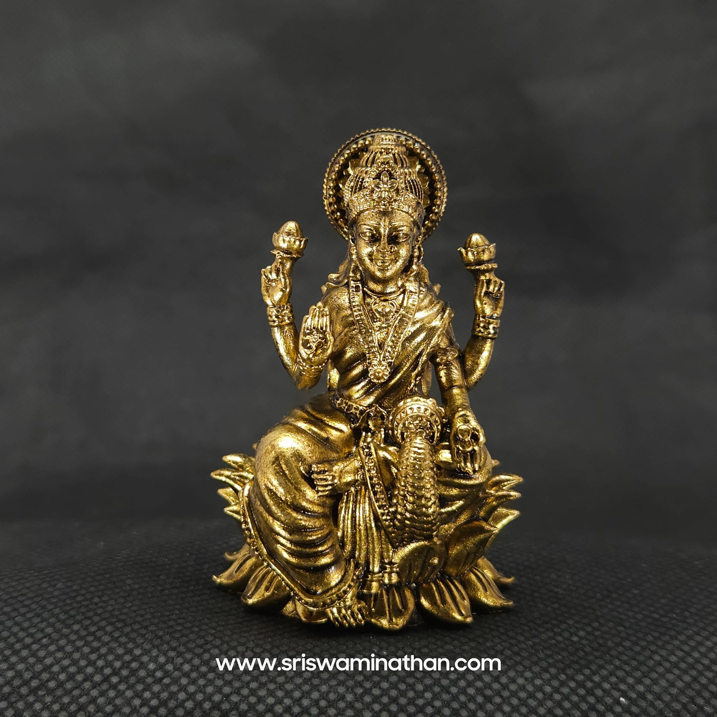 Aishwarya Lakshmi Statues