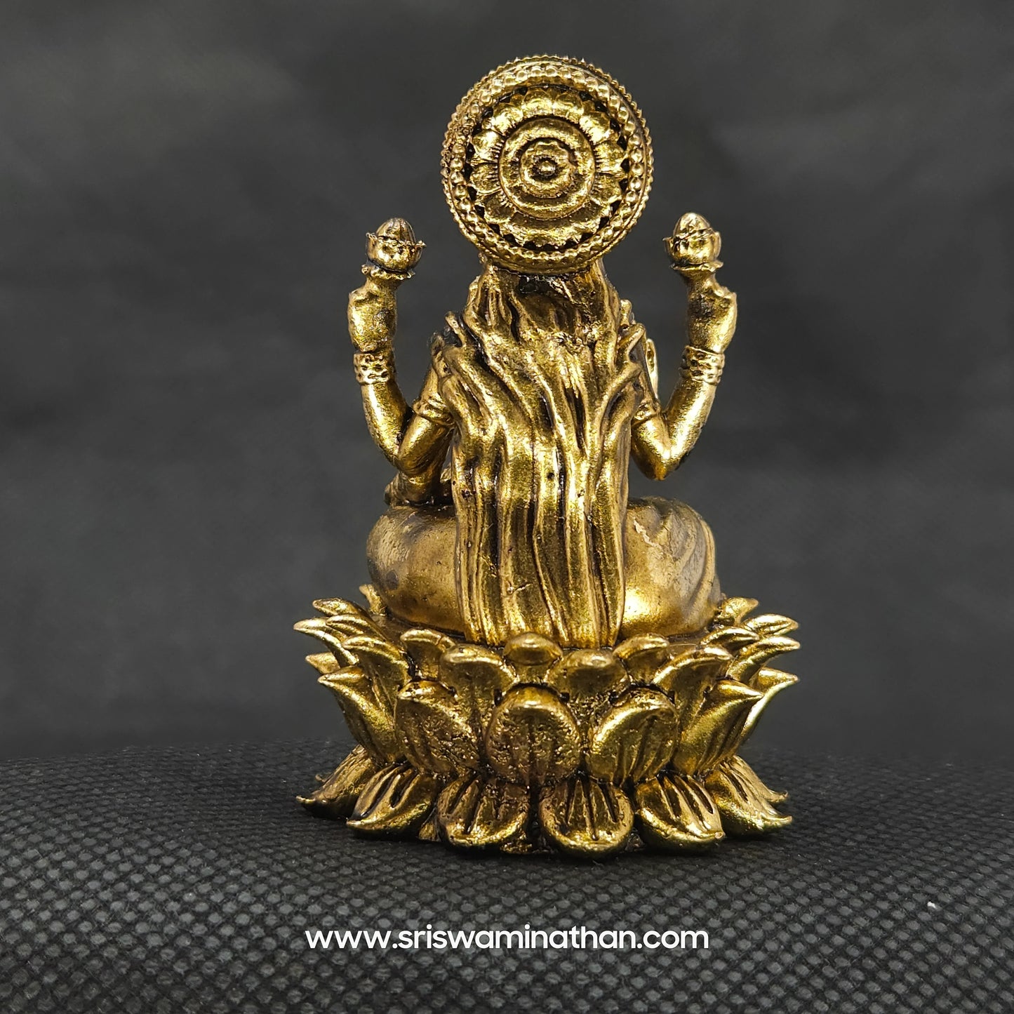 Aishwarya Lakshmi Statues