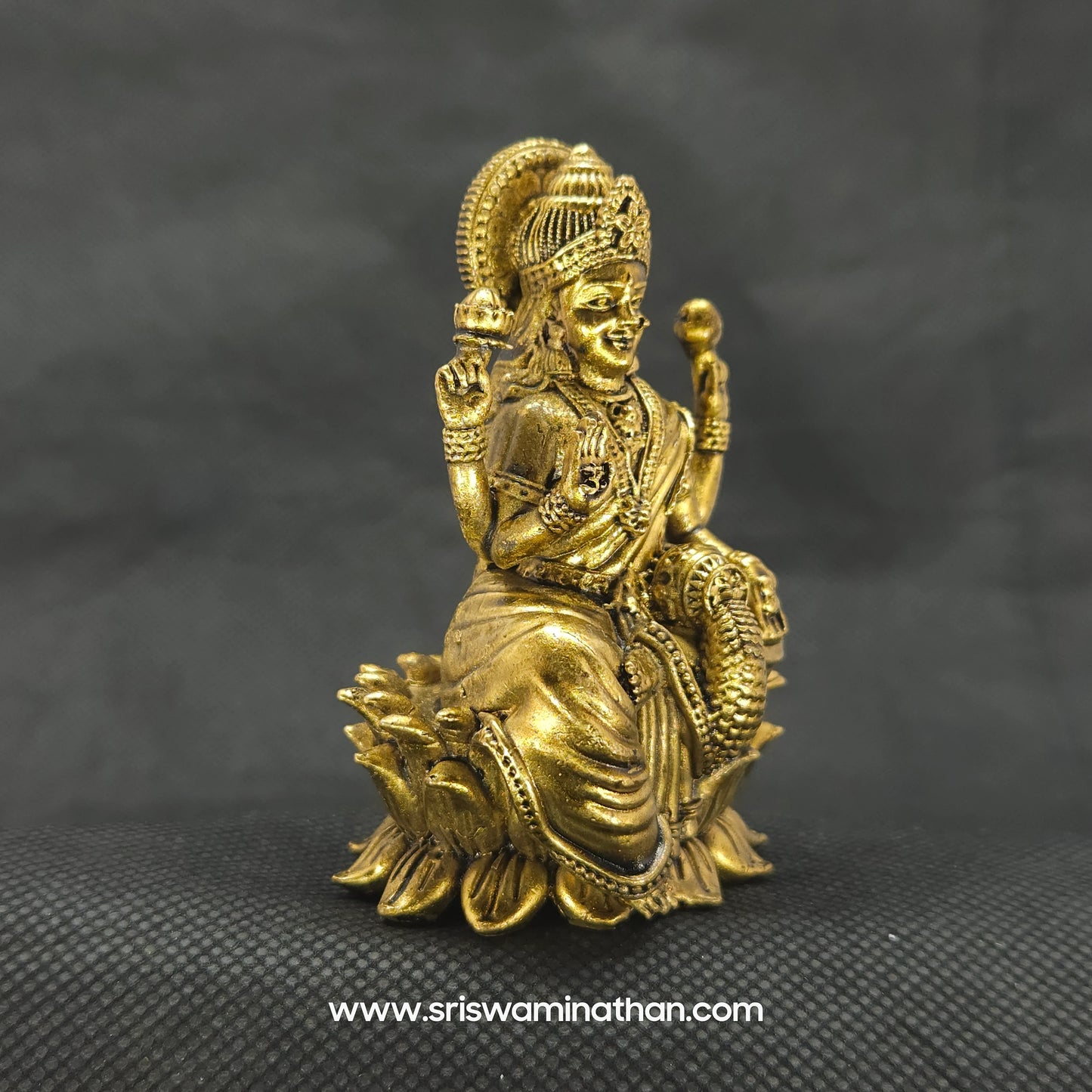 Aishwarya Lakshmi Statues