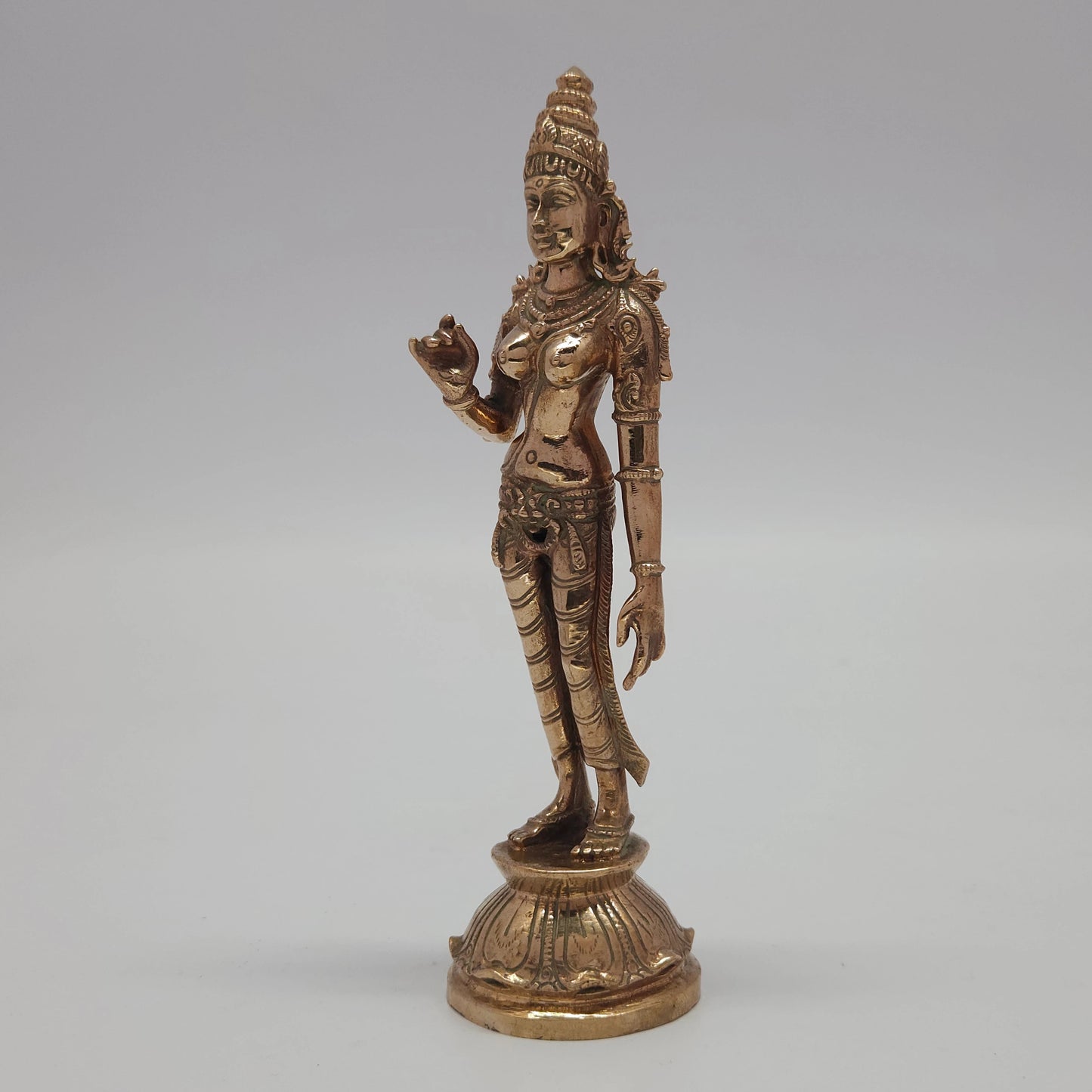 Sivagami 6inch