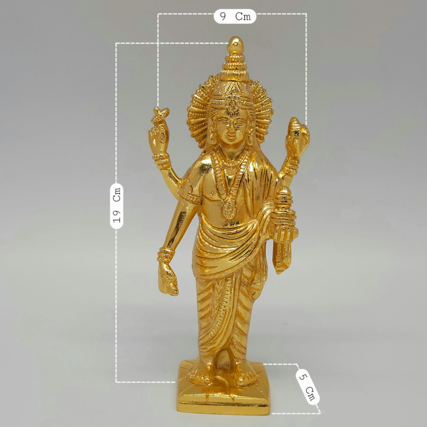 Dhanvantri 875 gm