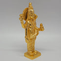 Dhanvantri 875 gm