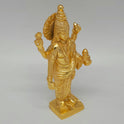 Dhanvantri 875 gm