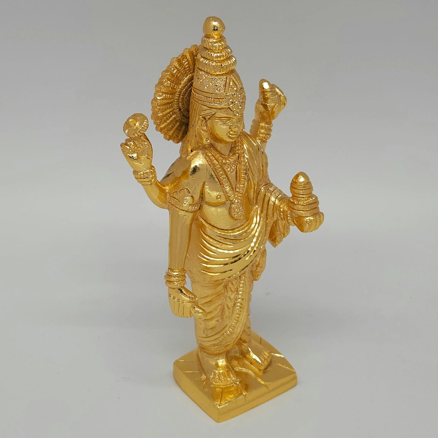 Dhanvantri 875 gm