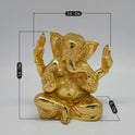 Ganesh Ganju 1.700 Kg-g