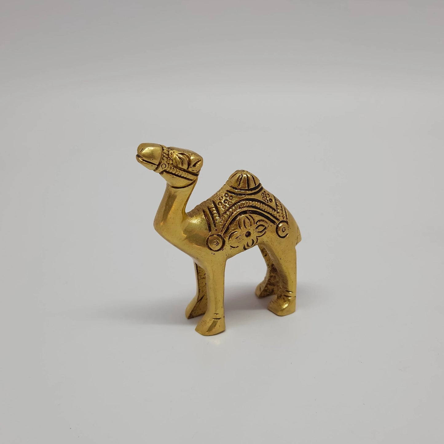 Camel small