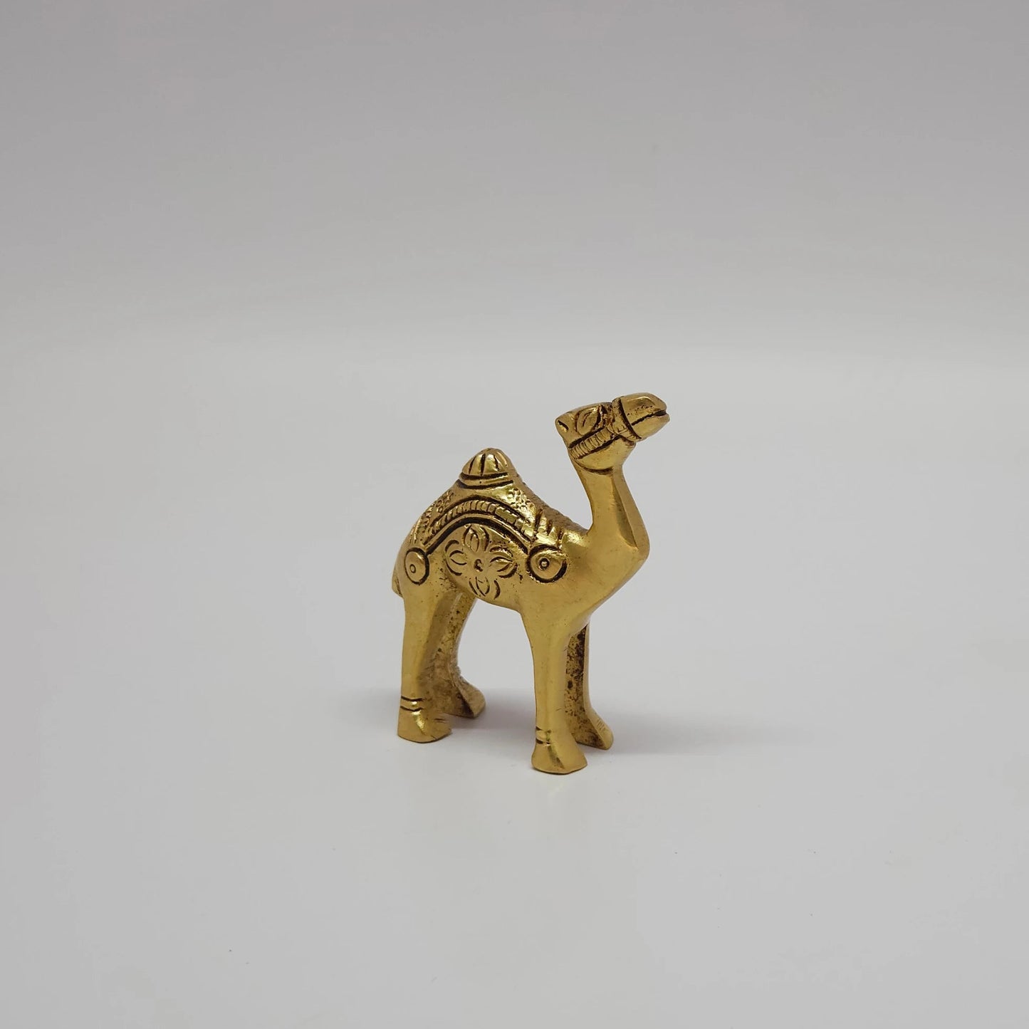 Camel small