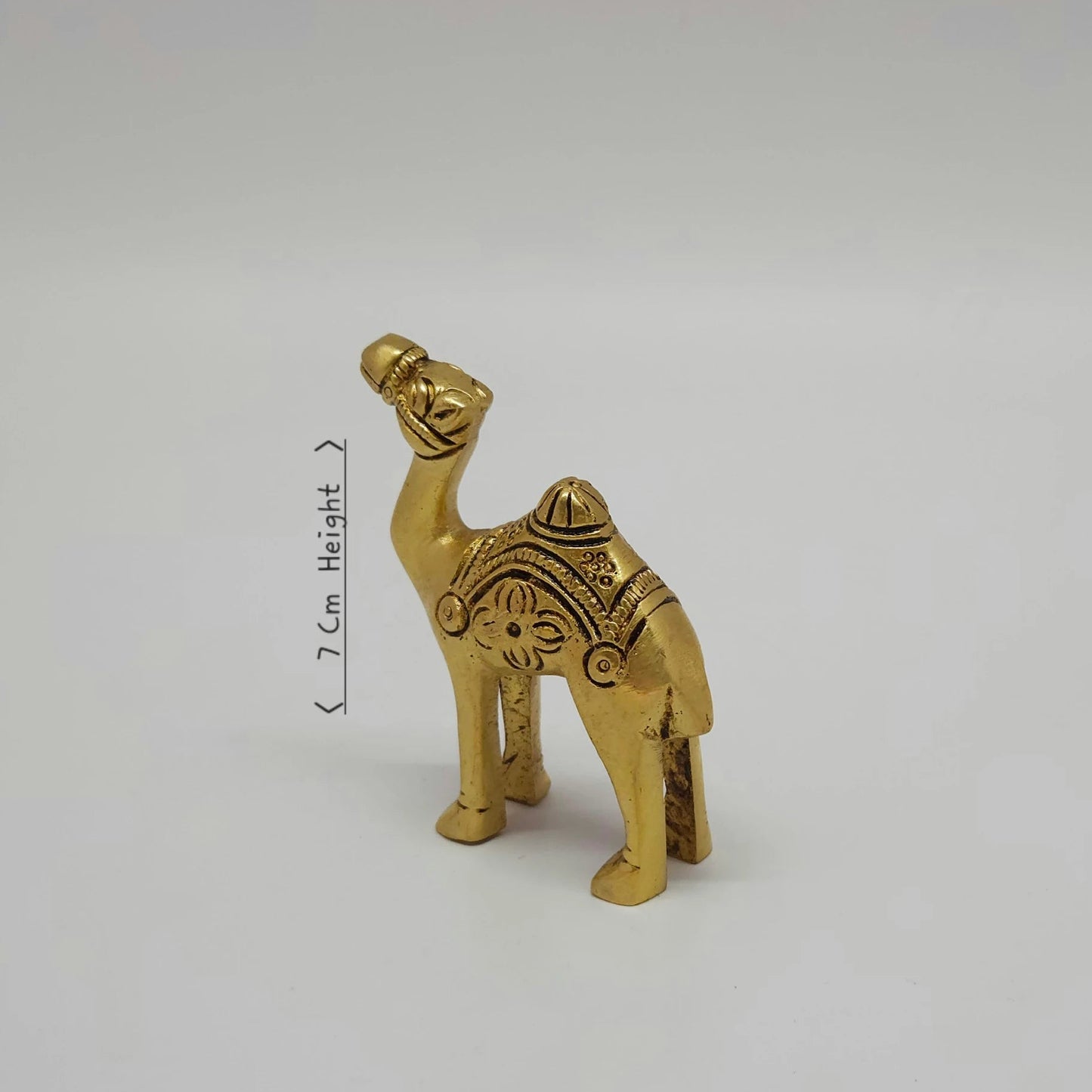 Camel small