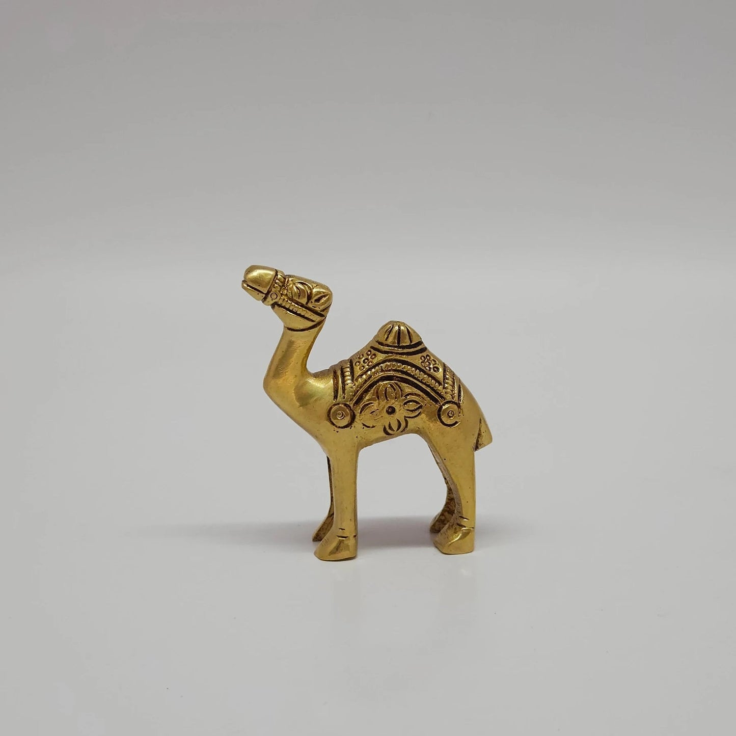 Camel small