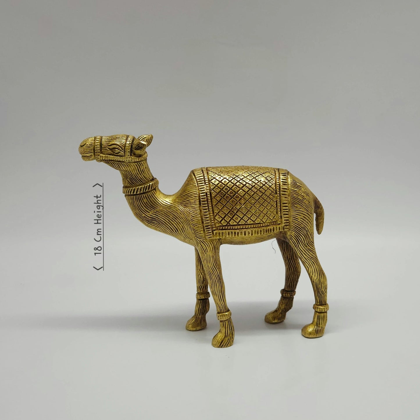 Camel big