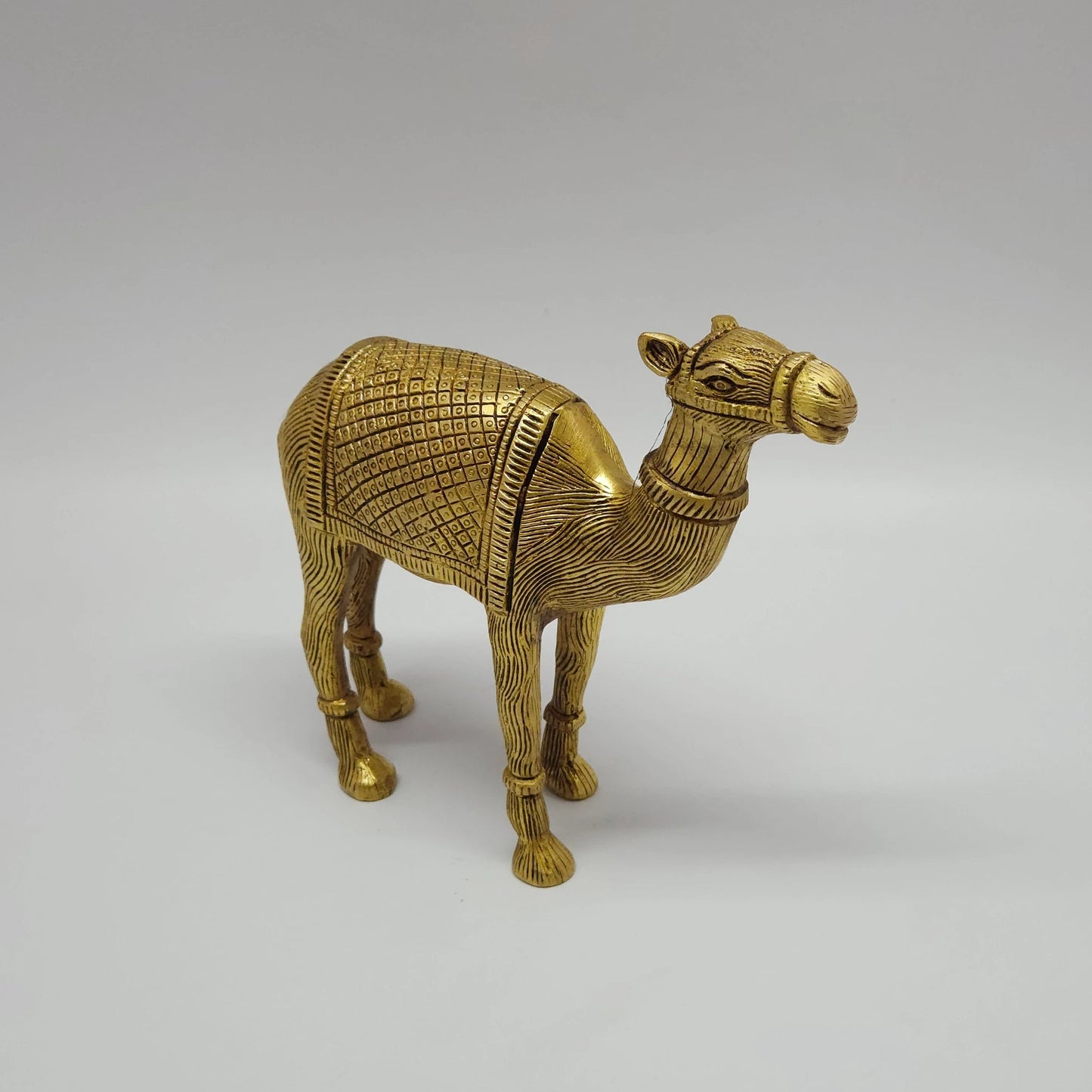 Camel big