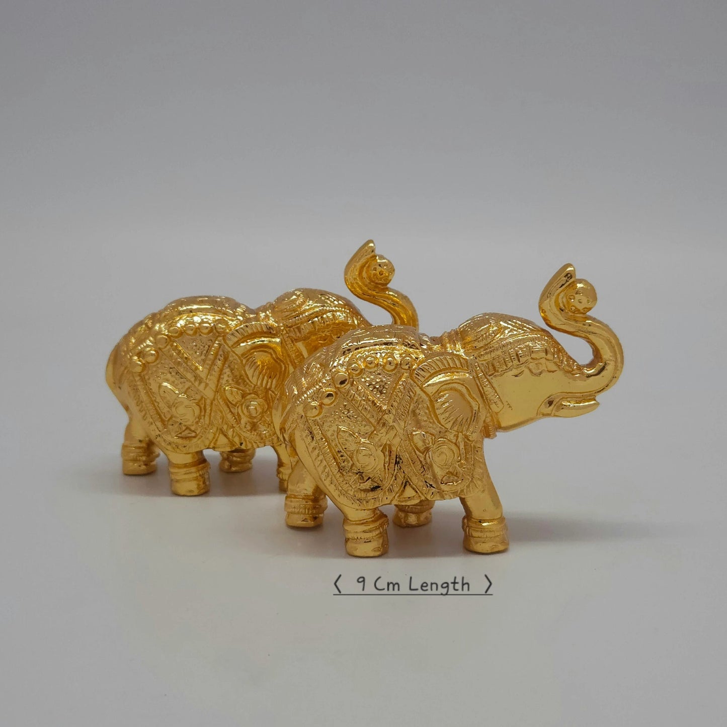 Elephant 300 gm