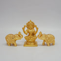 Elephant 300 gm