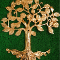 Karapagavirukcham tree 1.500 kg