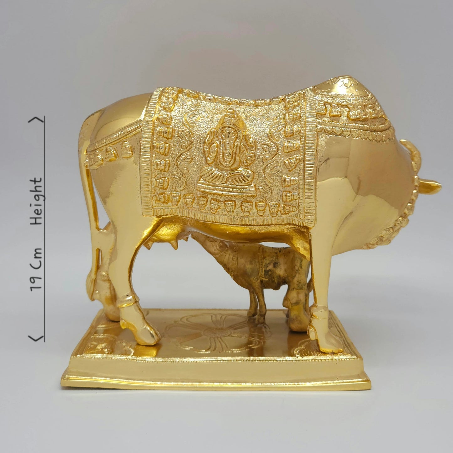 Cow calf 4.5kg