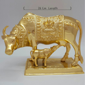 Cow calf 4.5kg