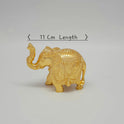 Elephant Ball .500 Gm-g