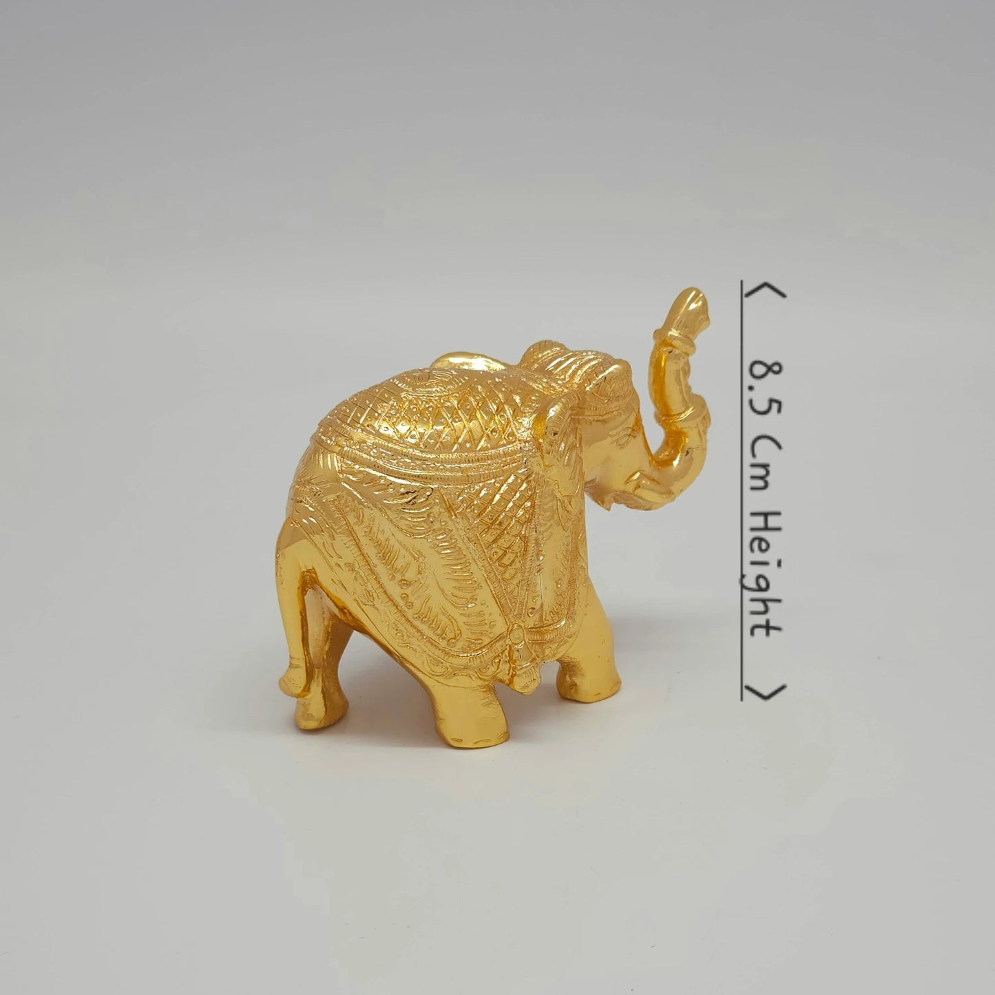 Elephant Ball .500 Gm-g