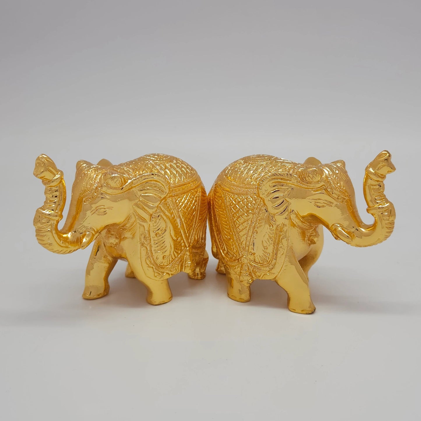 Elephant Ball .500 Gm-g