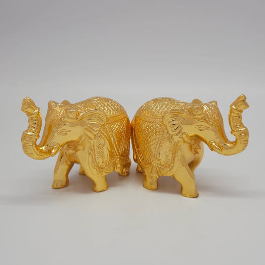 Elephant Ball .500 Gm-g