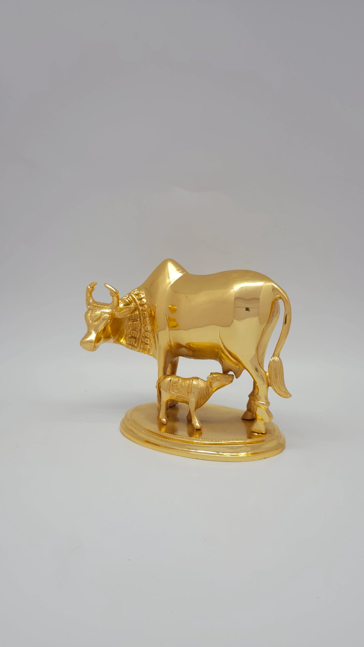 Cow calf plain 2.25 KG