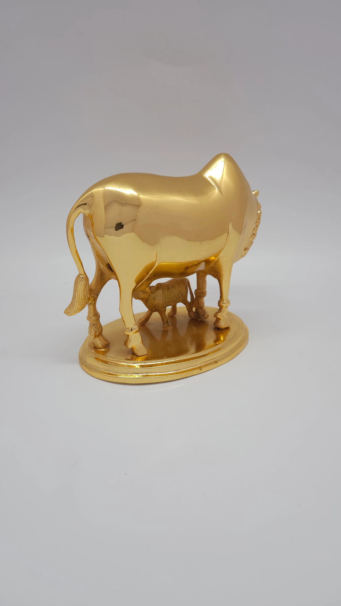 Cow calf plain 2.25 KG