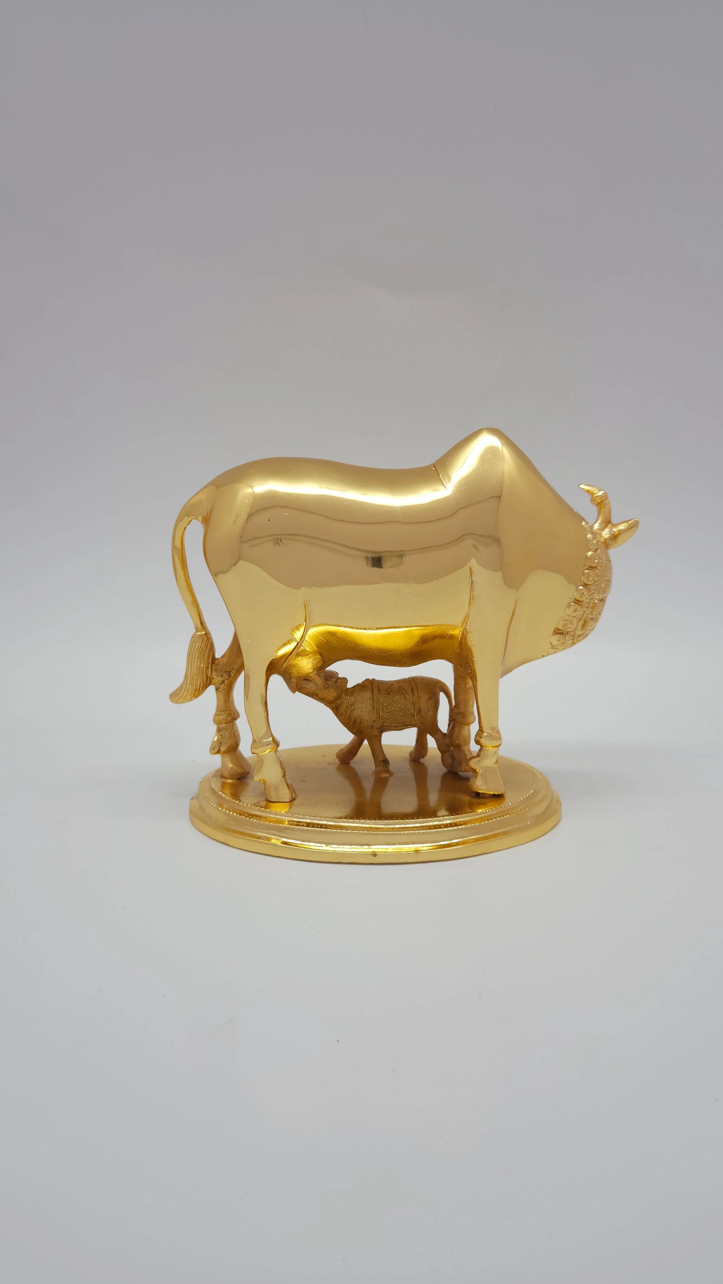 Cow calf plain 2.25 KG