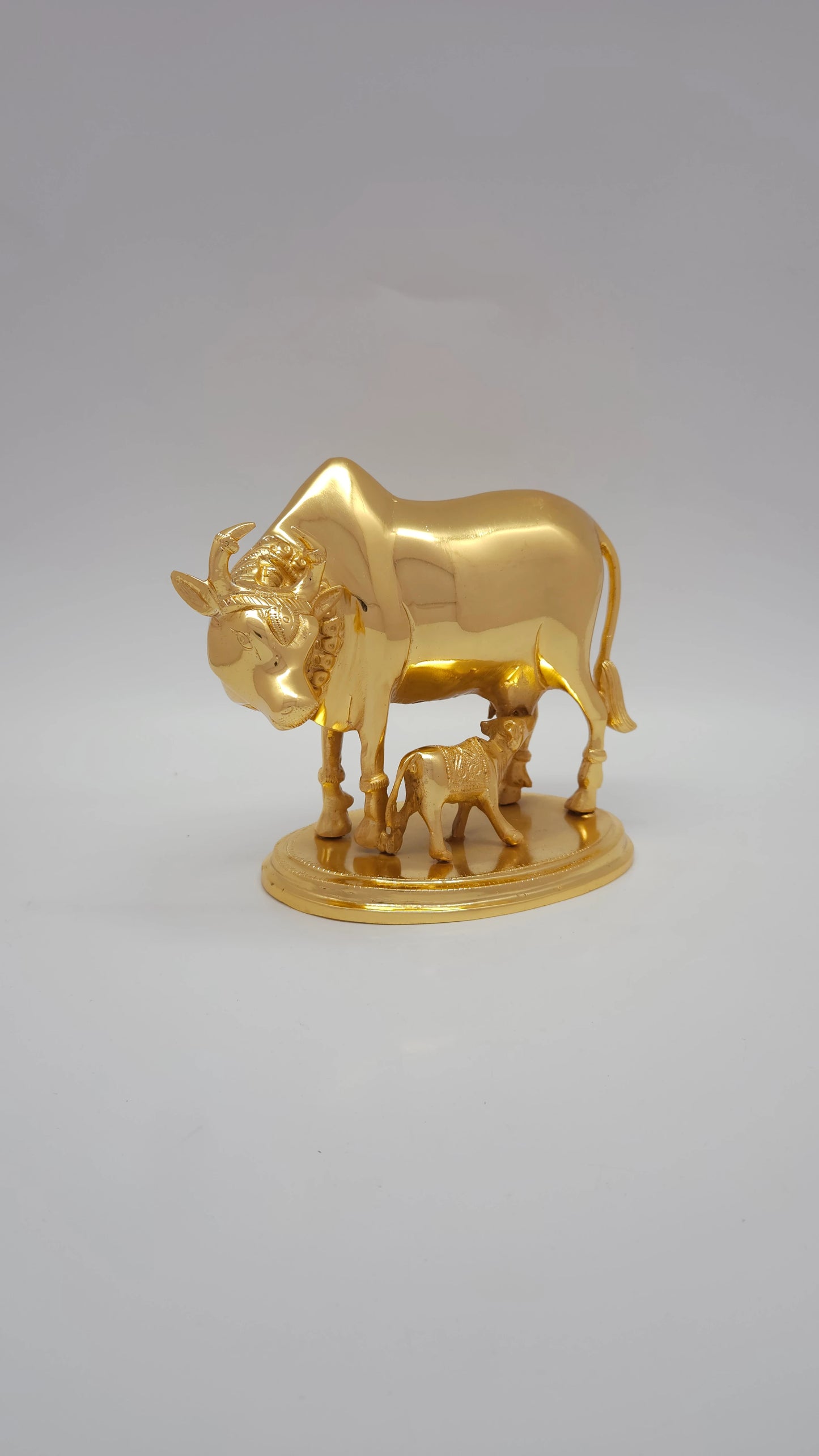 Cow calf plain 2.25 KG