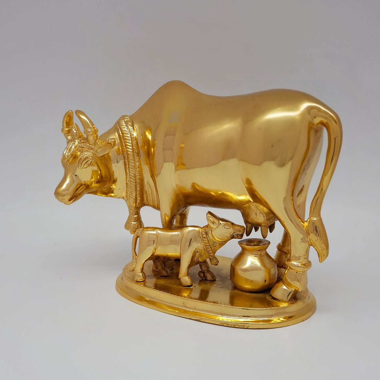 Cow calf 3kg pot