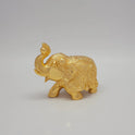 Elephant calf