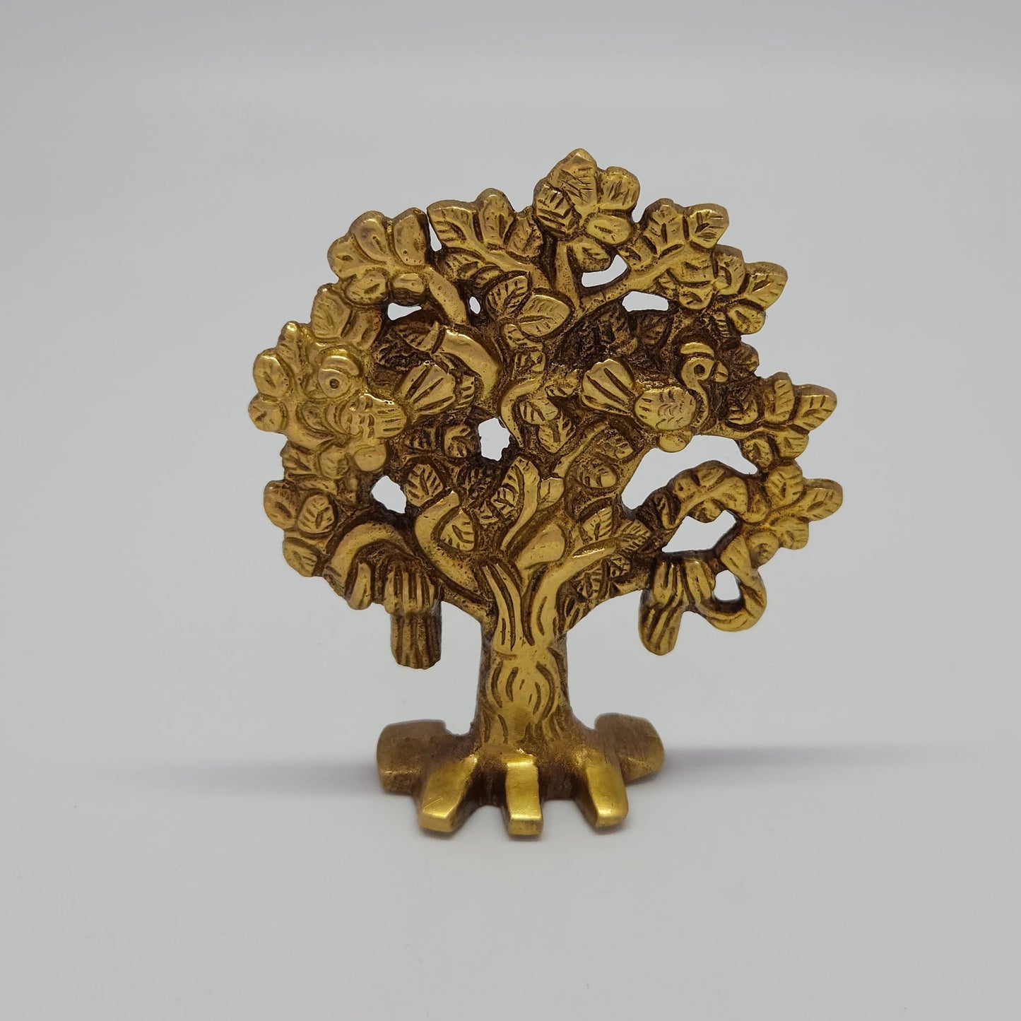 Karpagaviruksham tree 170 gm
