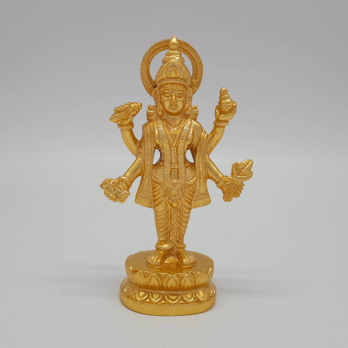 Dhanvantri 700 gm