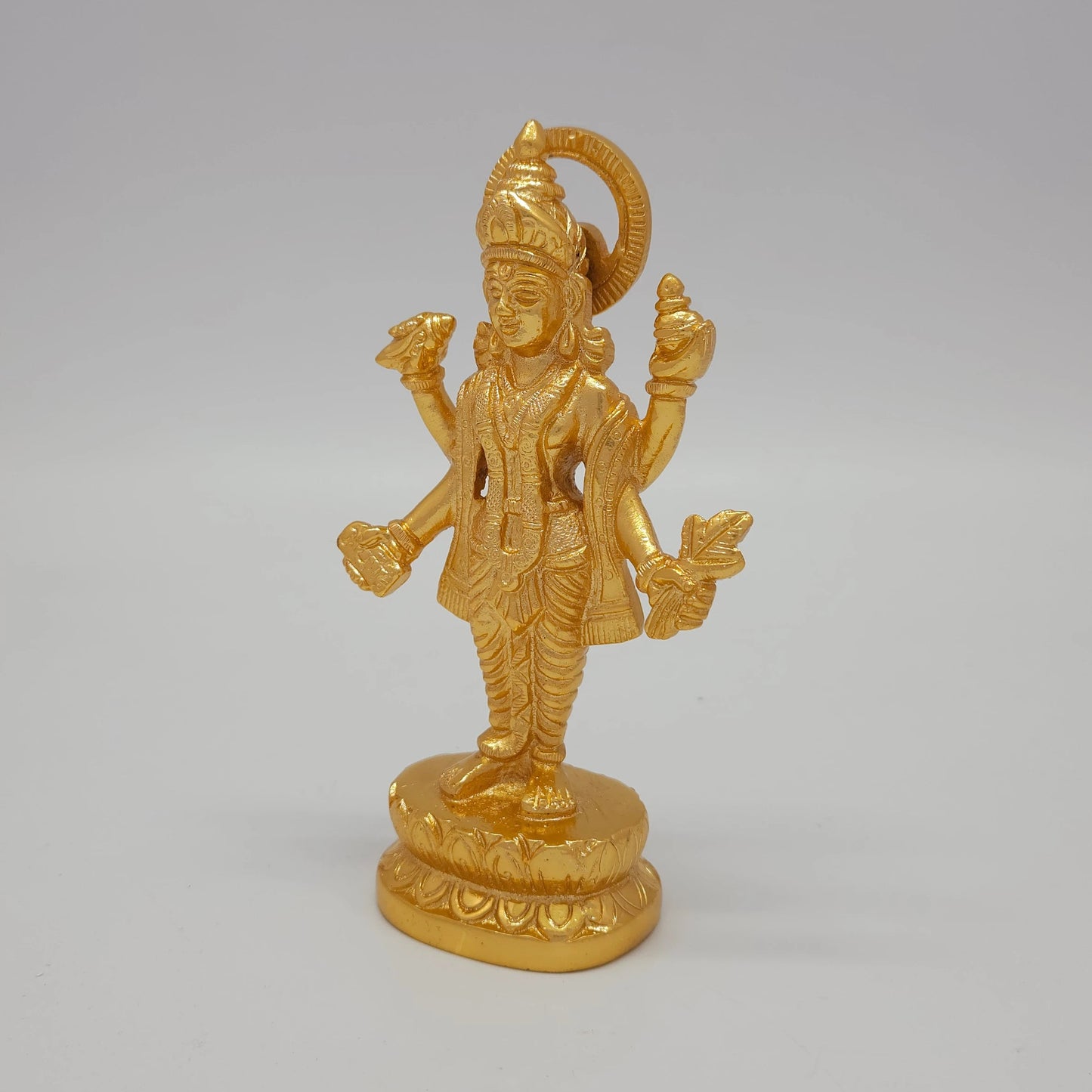 Dhanvantri 700 gm