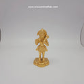 Hanuman 13312