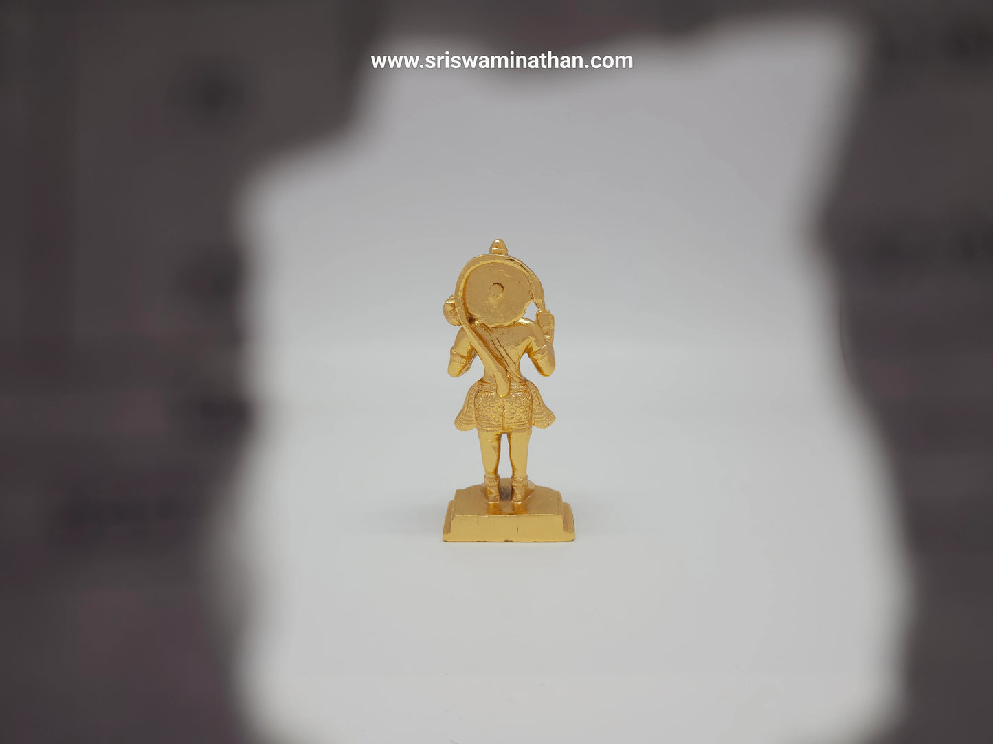 Hanuman 13312