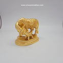 Cow and calf 16479
