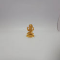 Lakshmi 15254